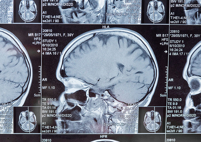 Wait, Scientists Think These Wild Theories Might Actually Be True?!