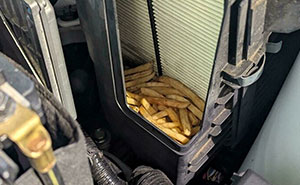 When Mechanics Show Us What They've REALLY Seen (And Yes, It's Wild)