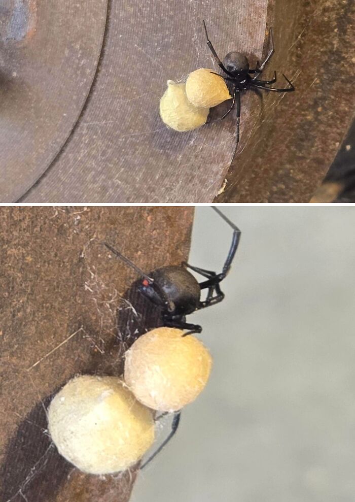 You’ll Never Guess How My Tech Almost Got Bit