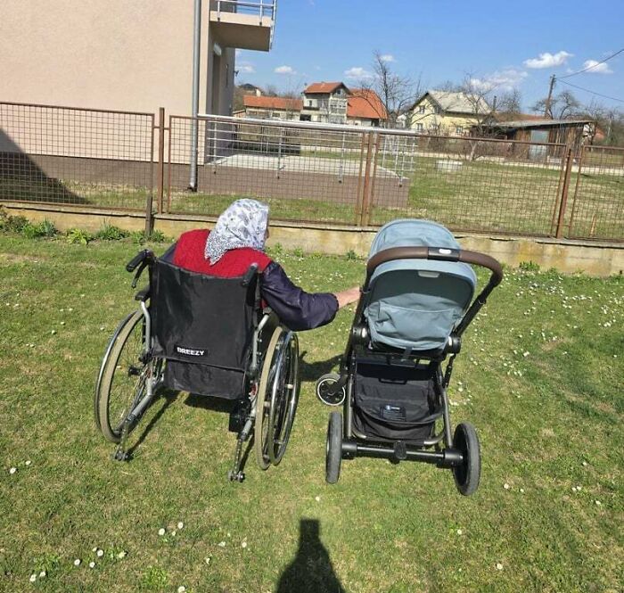 The Circle Of Life, All In One Chill Moment