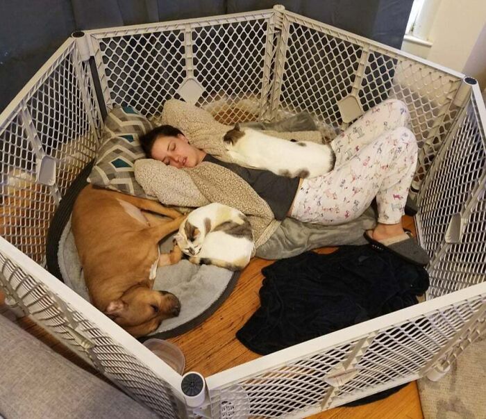 Our Piglet’s On Bedrest, So We’re Healing As A Family