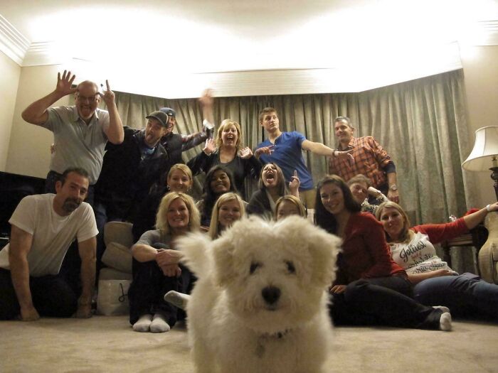 Family Christmas Photo… But Wait, Who's That?