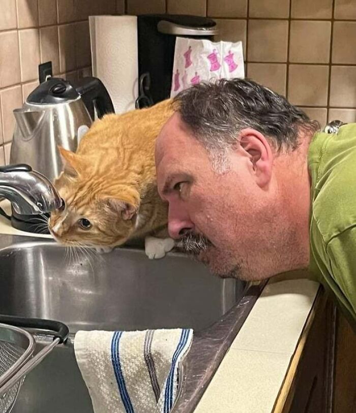 My Brother-In-Law Helping Dobby Look For A Lost Brain Cell