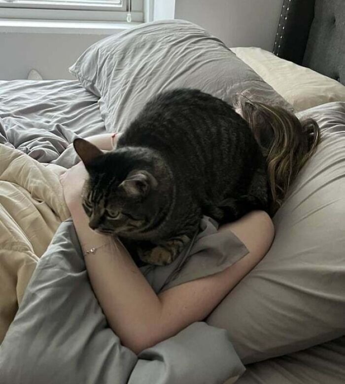 6:04 AM, The Cat’s Taking Over The Bed. Automatic Feeder For The Win.