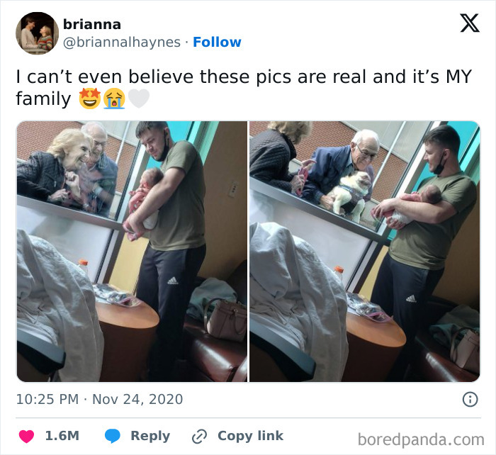 That Pug’s Face Says 'Yep, I’m Proud!'