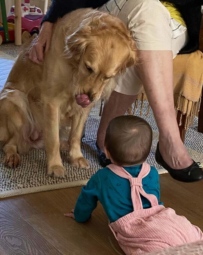 My 1st Word Was Our Dog’s Name—Martha!