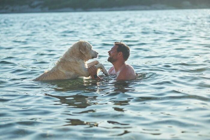 Long Distance Dog Hugs Only Once Or Twice A Year