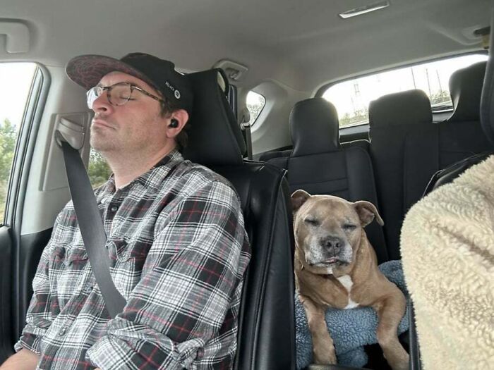 My Wife Says Our Dog And I Look Like Twins When We Nap