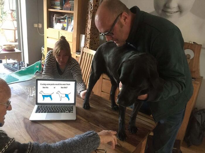 When A Family Argument Gets Wild...