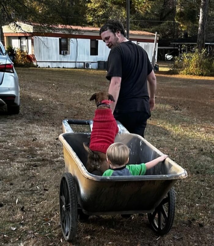 Nephew, Me, And The Family Dog Teaming Up For Leaf Raking
