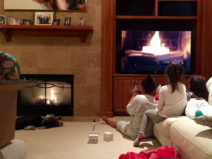 Sometimes The Dog’s The Smartest One In The Family