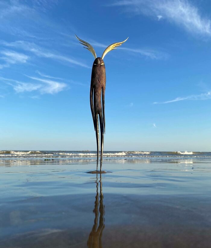 Wild Wood Wonders That Look Like Magic Came to Life