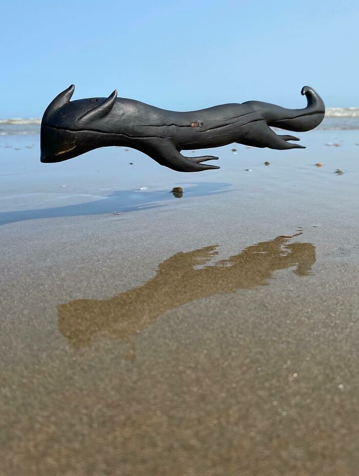 Wild Wood Wonders That Look Like Magic Came to Life