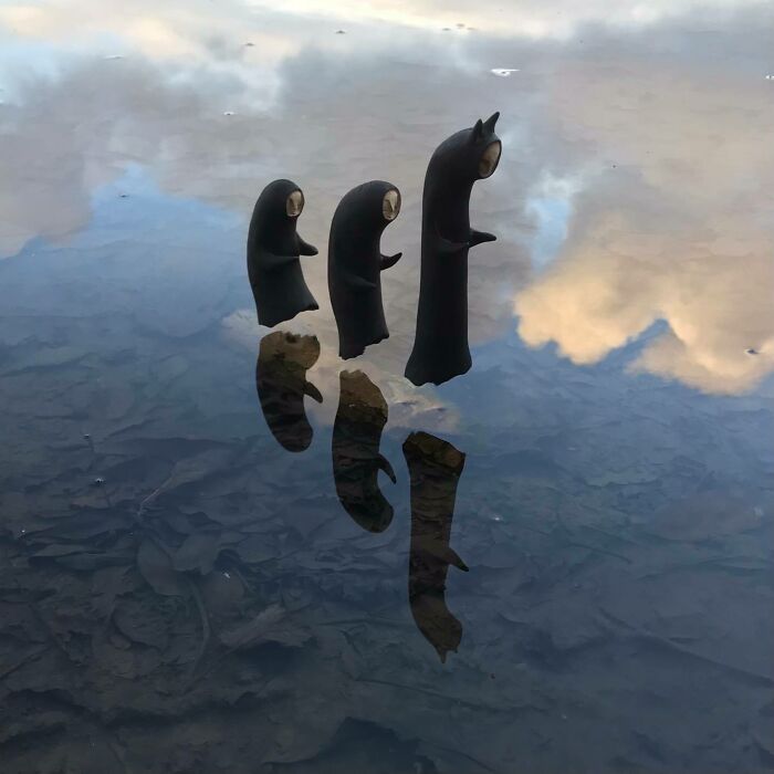 Wild Wood Wonders That Look Like Magic Came to Life