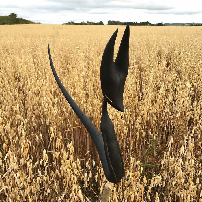 Wild Wood Wonders That Look Like Magic Came to Life