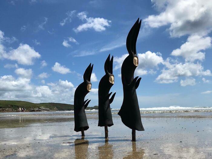 Wild Wood Wonders That Look Like Magic Came to Life