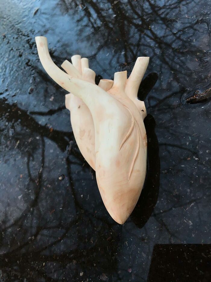 Wild Wood Wonders That Look Like Magic Came to Life