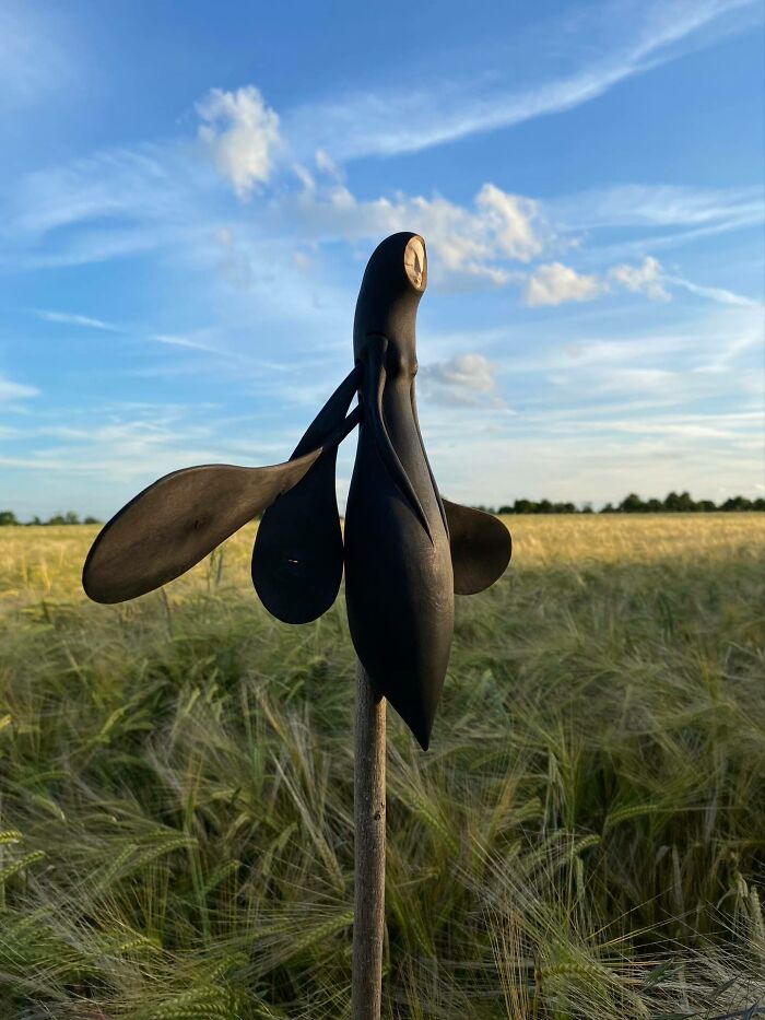 Wild Wood Wonders That Look Like Magic Came to Life