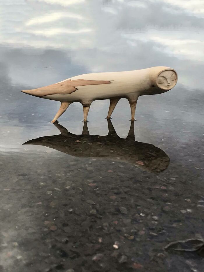 Wild Wood Wonders That Look Like Magic Came to Life