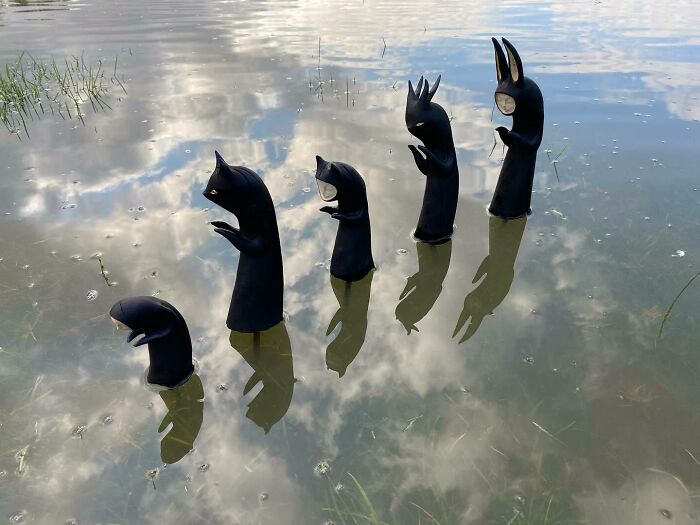 Wild Wood Wonders That Look Like Magic Came to Life