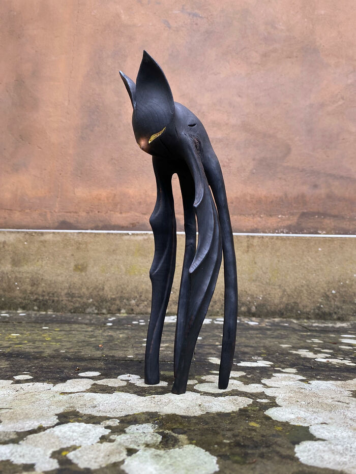 Wild Wood Wonders That Look Like Magic Came to Life