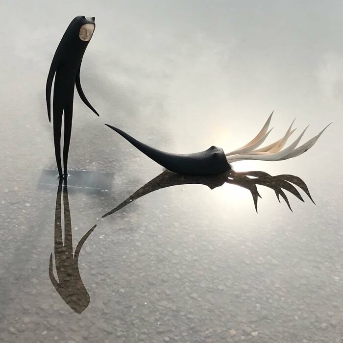 Wild Wood Wonders That Look Like Magic Came to Life