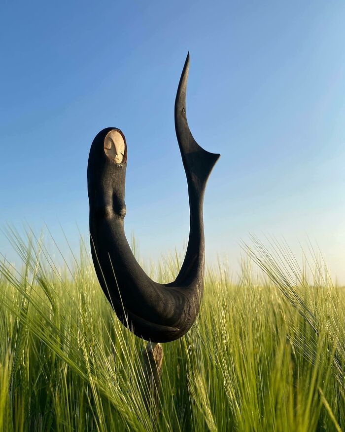 Wild Wood Wonders That Look Like Magic Came to Life