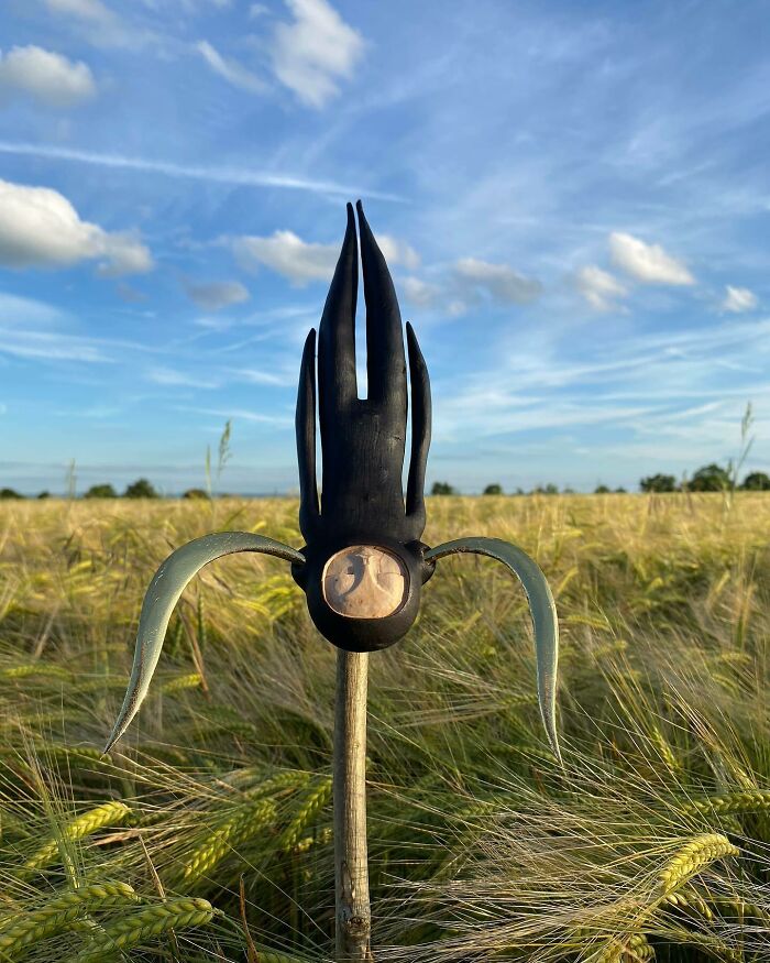 Wild Wood Wonders That Look Like Magic Came to Life