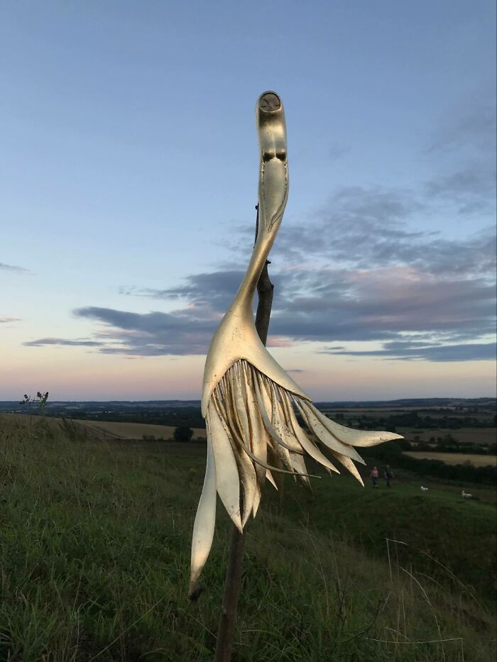 Wild Wood Wonders That Look Like Magic Came to Life