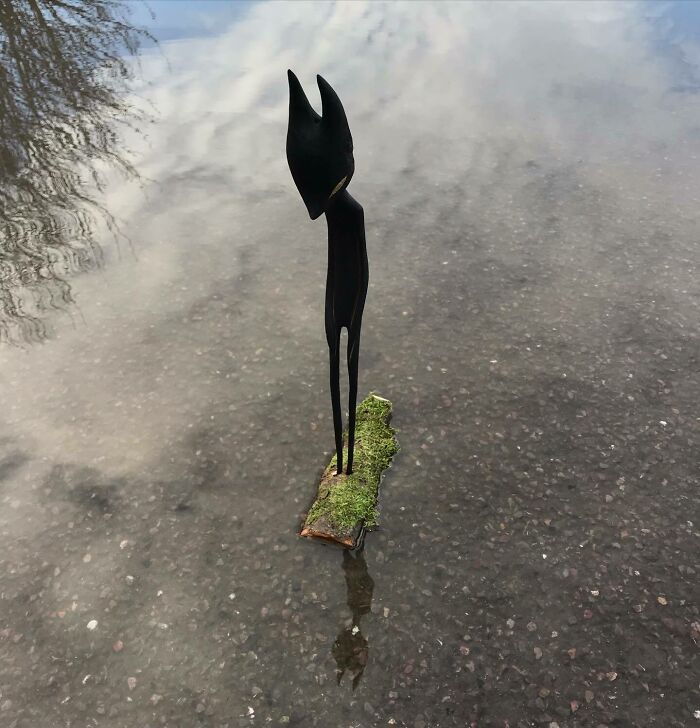 Wild Wood Wonders That Look Like Magic Came to Life