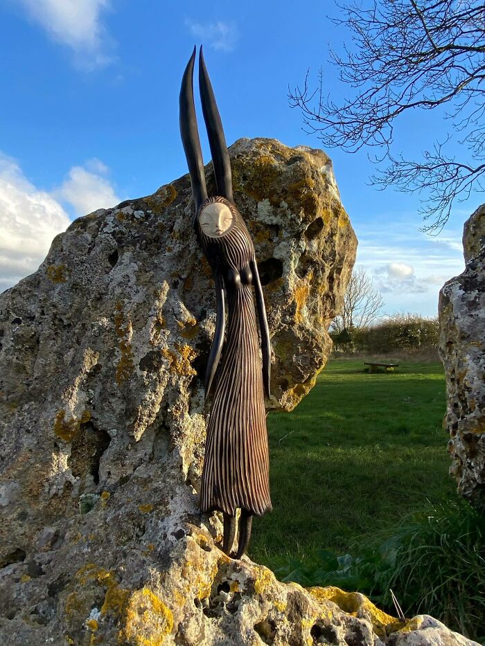 Wild Wood Wonders That Look Like Magic Came to Life