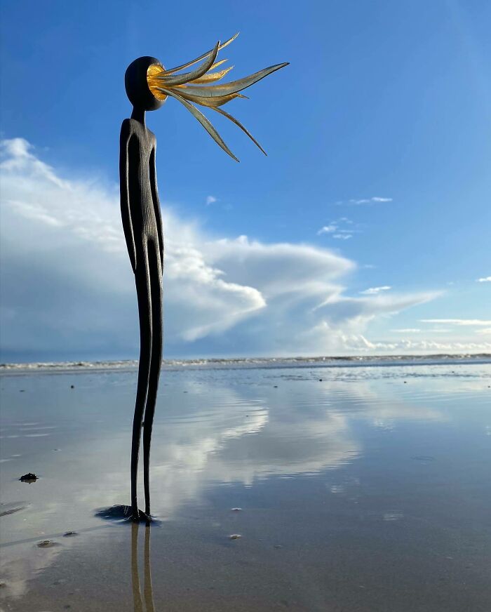 Wild Wood Wonders That Look Like Magic Came to Life