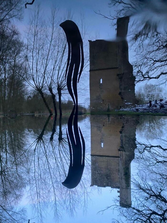 Wild Wood Wonders That Look Like Magic Came to Life