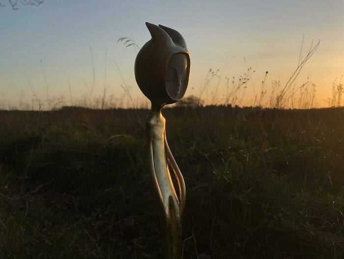 Wild Wood Wonders That Look Like Magic Came to Life