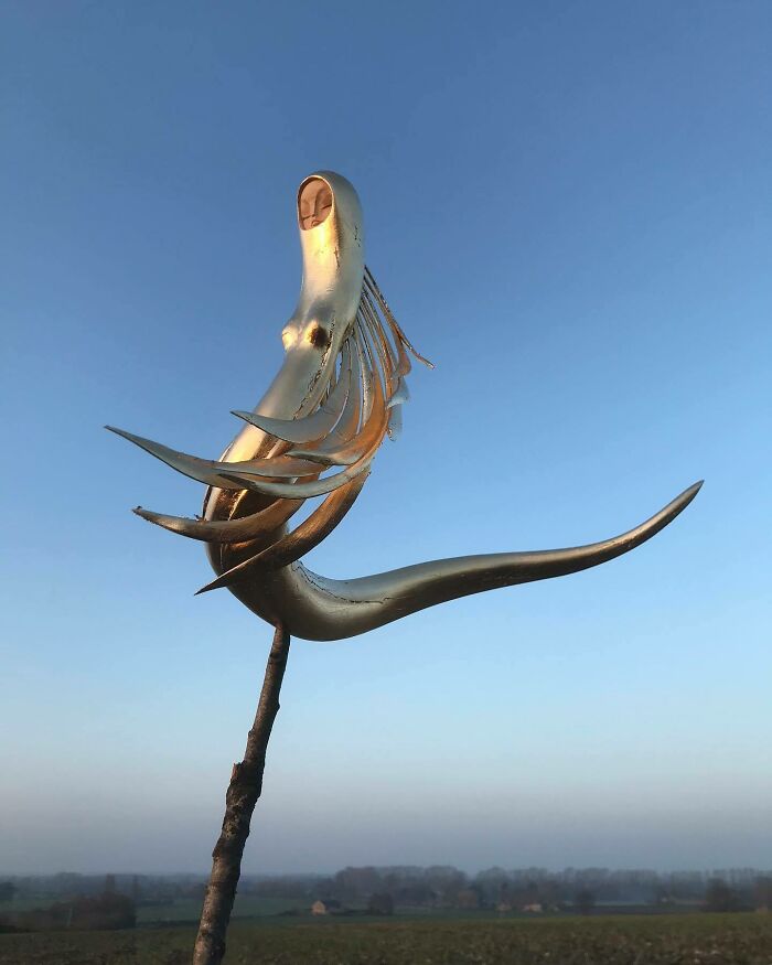 Wild Wood Wonders That Look Like Magic Came to Life