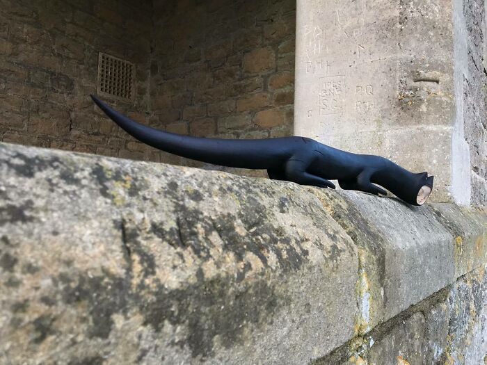 Wild Wood Wonders That Look Like Magic Came to Life