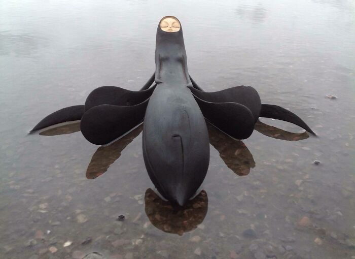 Wild Wood Wonders That Look Like Magic Came to Life