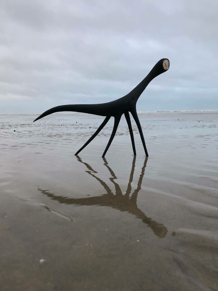 Wild Wood Wonders That Look Like Magic Came to Life