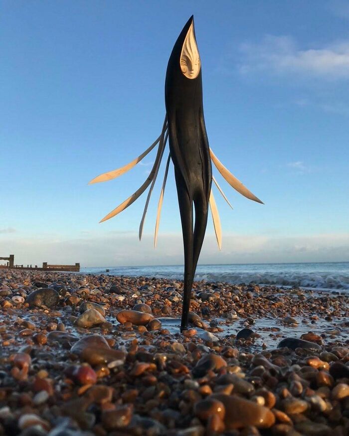 Wild Wood Wonders That Look Like Magic Came to Life