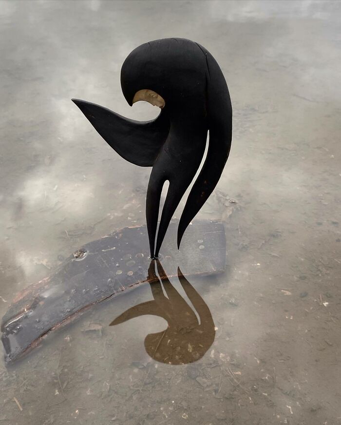 Wild Wood Wonders That Look Like Magic Came to Life