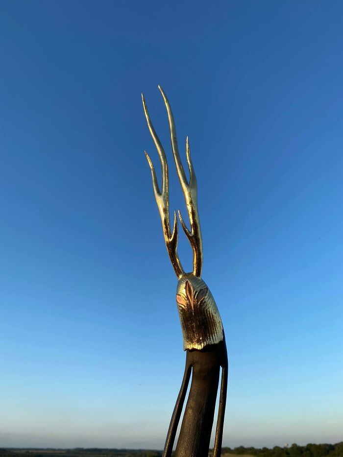 Wild Wood Wonders That Look Like Magic Came to Life