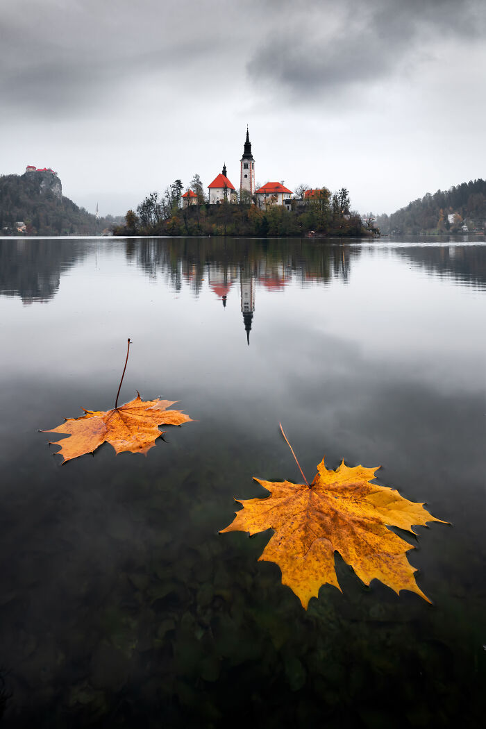 Wait Till You See These 48 Landscapes That Look Straight Outta a Fantasy Movie!