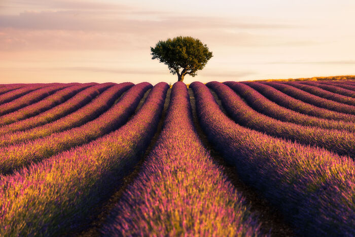 Wait Till You See These 48 Landscapes That Look Straight Outta a Fantasy Movie!