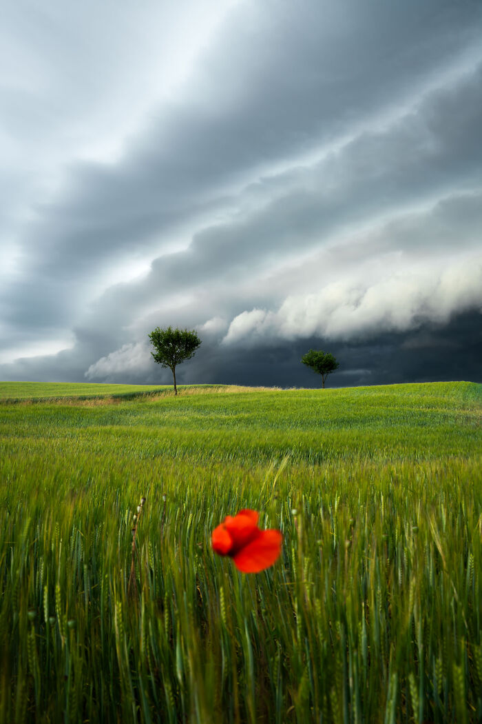 Wait Till You See These 48 Landscapes That Look Straight Outta a Fantasy Movie!