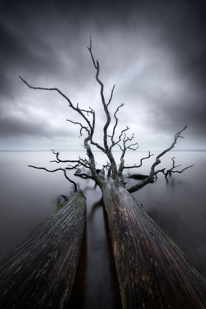 Wait Till You See These 48 Landscapes That Look Straight Outta a Fantasy Movie!