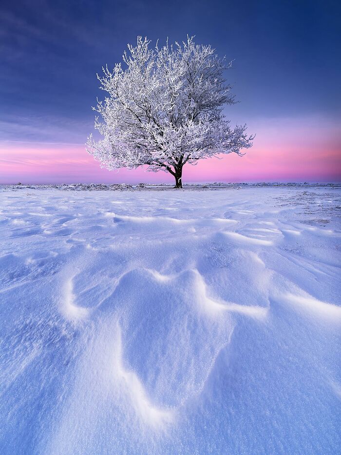 Wait Till You See These 48 Landscapes That Look Straight Outta a Fantasy Movie!