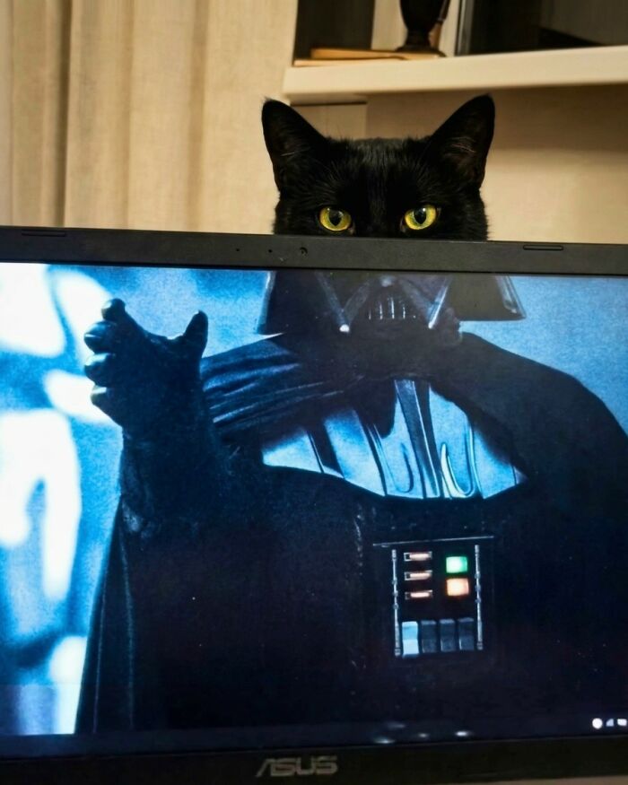 33 Animal Pics That Are Basically Instant Mood Boosters