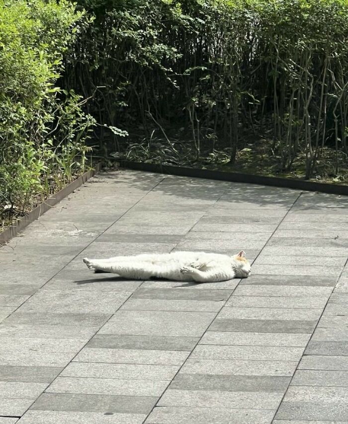 33 Animal Pics That Are Basically Instant Mood Boosters