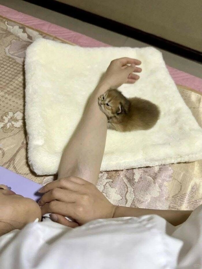 33 Animal Pics That Are Basically Instant Mood Boosters