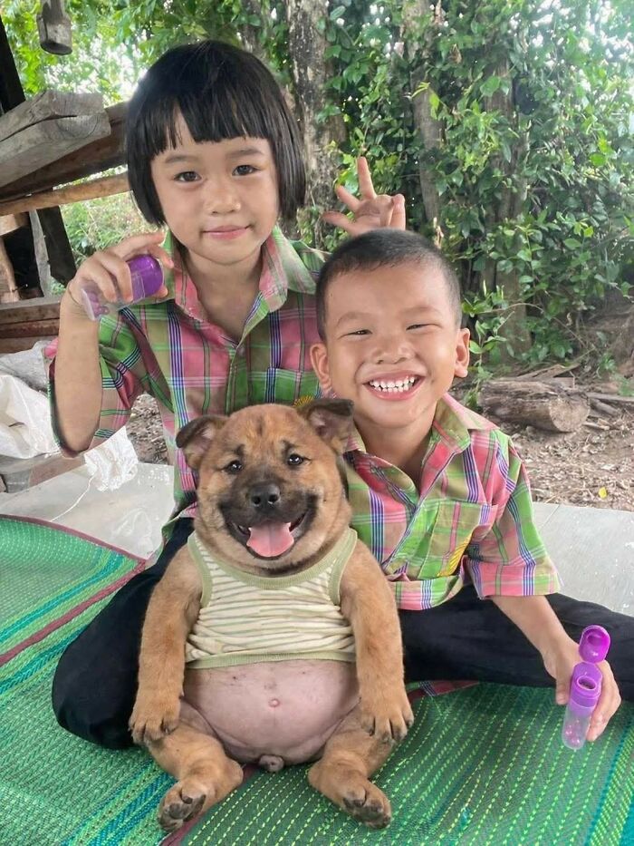 33 Animal Pics That Are Basically Instant Mood Boosters